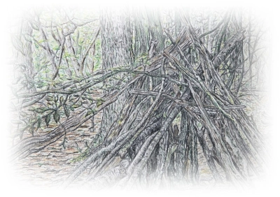 Pile of tree branch sticks illustration