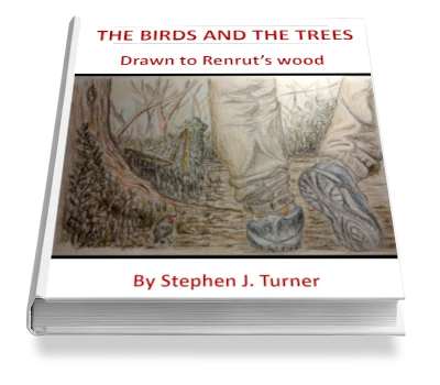 The birds and the trees 3d book cover concept